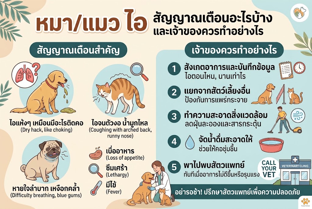 หมา/แมวไอ สัญญาณเตือนอะไรบ้าง และเจ้าของควรทำอย่างไร