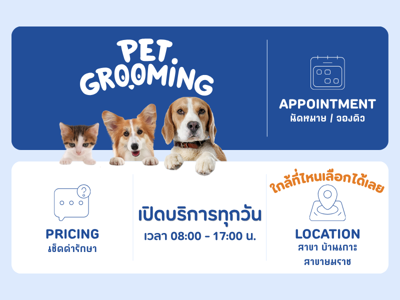 อาบน้ำตัดขน