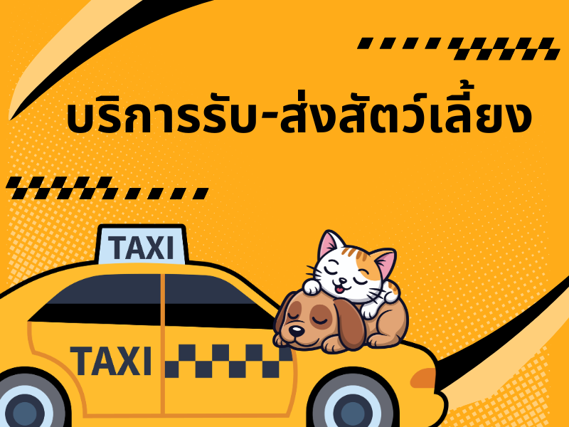 รับส่งสัตว์เลี้ยง