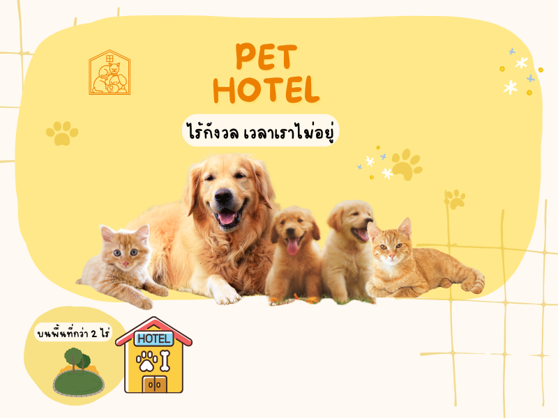 โรงแรมฝากเลี้ยง