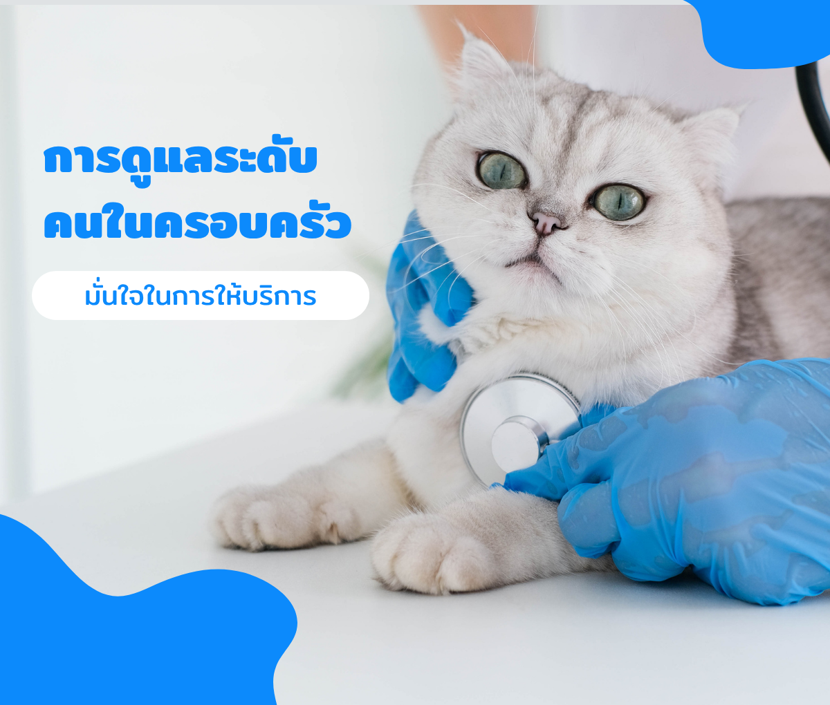 โรงพยาบาลสัตว์อิทธิเวช