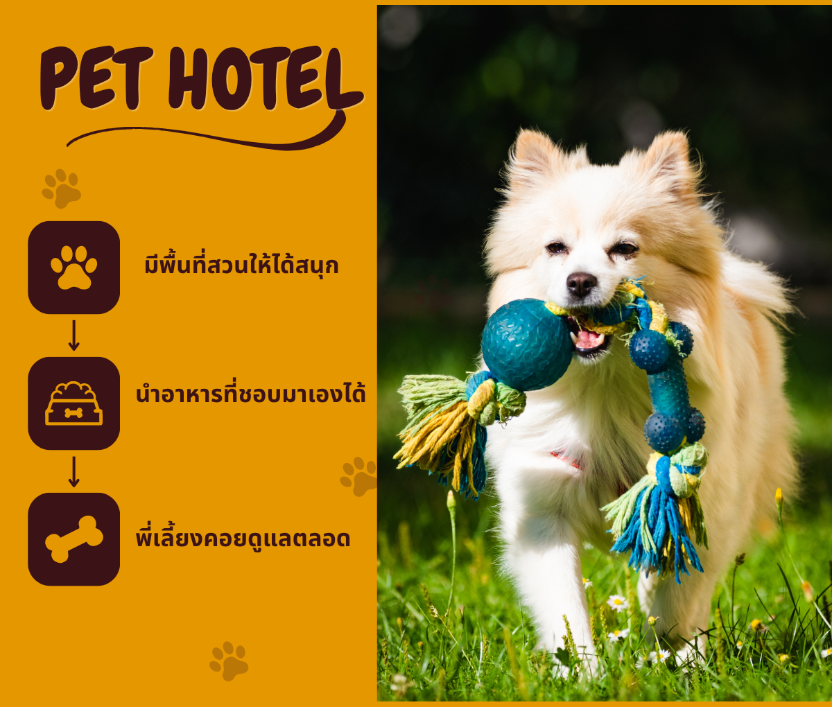 โรงพยาบาลสัตว์อิทธิเวช